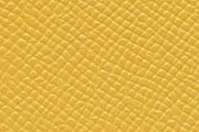 ジョーヌマンゴー/JAUNE MANGO(T2)